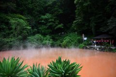 疑遭熊绑架! 日温泉旅馆员工失踪 现场遗留多处血迹