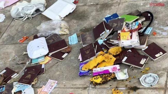 照片疯传：柬国街头满地外国护照 网友毛骨悚然