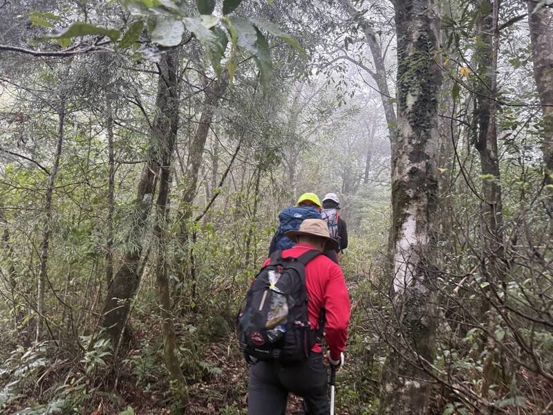 宜兰阿玉山2失联山友，1人已平安返家，1人仍失联，消防人员持续搜救中。（资料照）