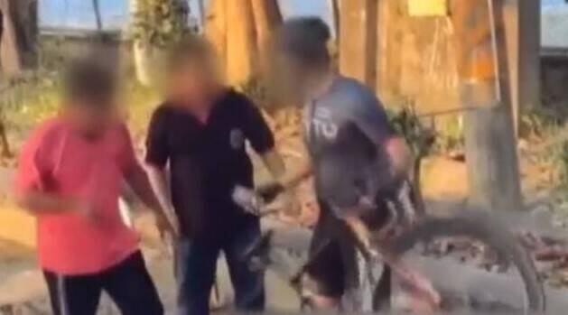 台中市东势区爆发自行车与游览车行车纠纷。（图取自社会事新闻影音）