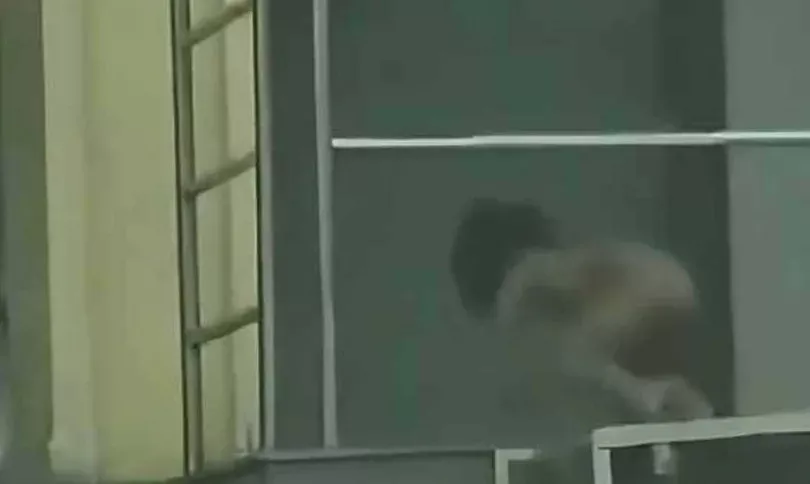 高学历父母“野人式养娃”:监护权≠为所欲为 公权力必须干预