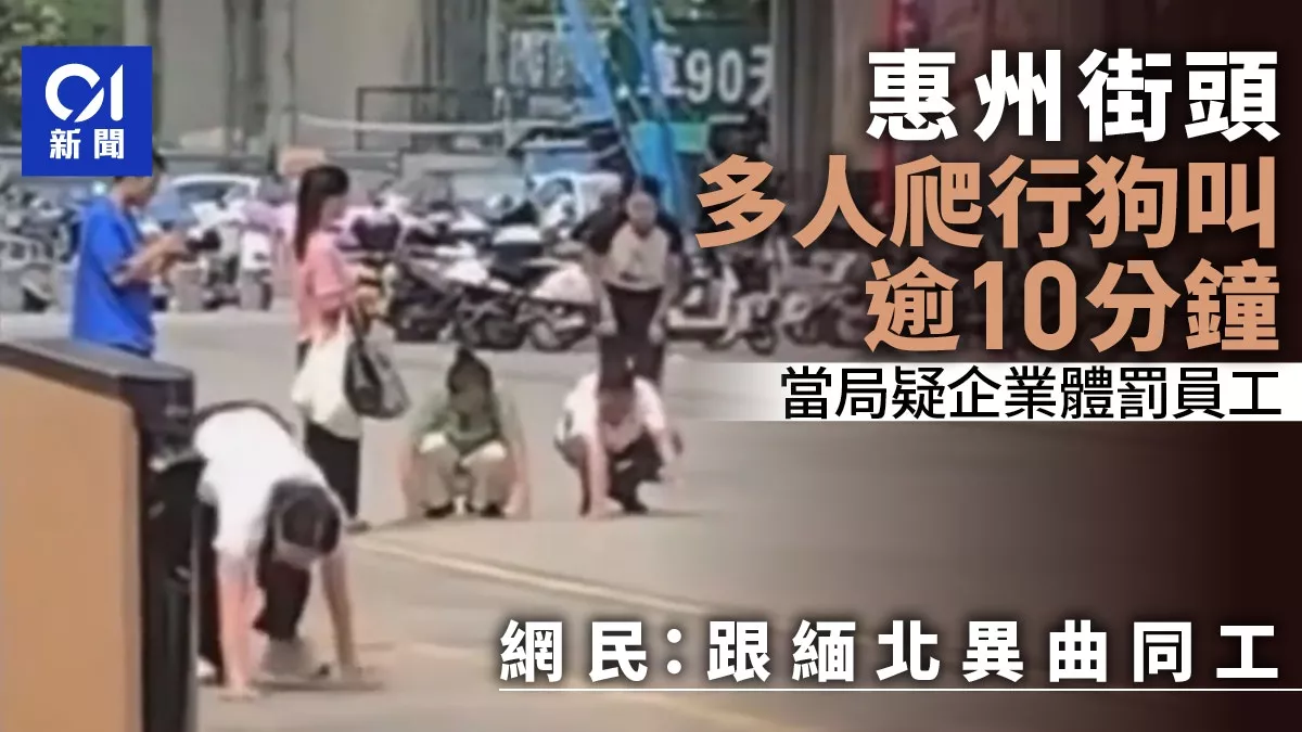 广东街头惊现：多人爬行狗叫 疑似企业体罚员工 网：跟缅北异曲同工