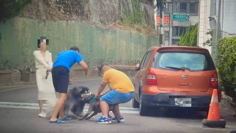 新竹县竹北市模特儿「栗子」昨天趁凉爽天气牵绳带著爱犬出门散步，竟突遭比特犬攻击，幸遇两名热心男士协助将狗分开脱困。（翻摄自Threads @davidyuyuyu帐号授权提供）