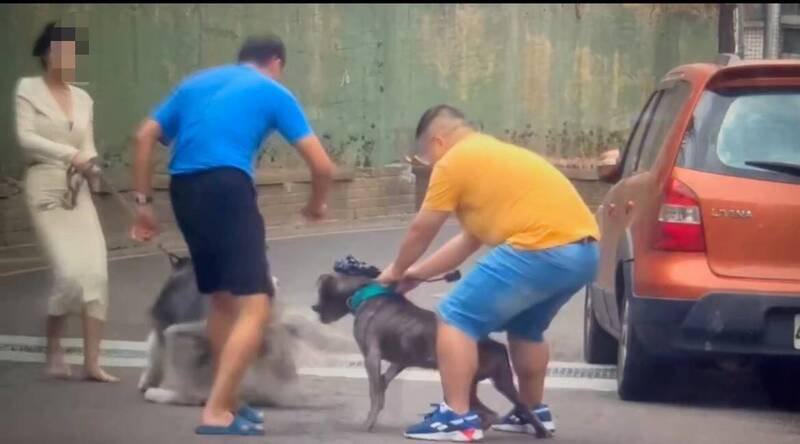 新竹县竹北市模特儿「栗子」昨天趁凉爽天气牵绳带著爱犬出门散步，竟突遭比特犬攻击，幸遇两名热心男士协助将狗分开脱困。（翻摄自Threads @davidyuyuyu帐号 授权提供）