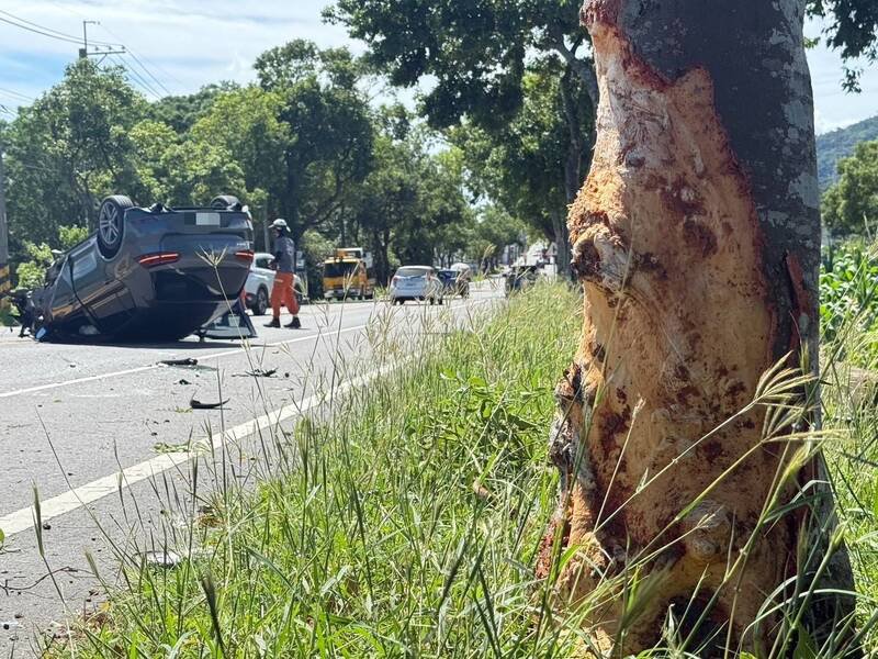 树皮都被刮下一大块。（陈宏宗议员服务团队提供）