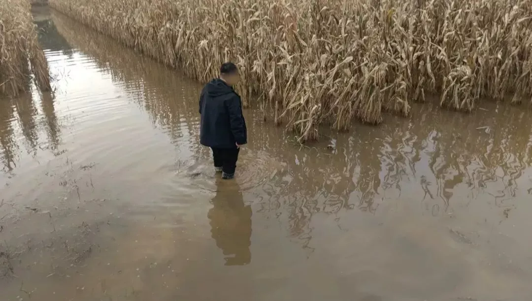 一村民现在积水的田中，水深几乎到其膝盖/受访者供图
