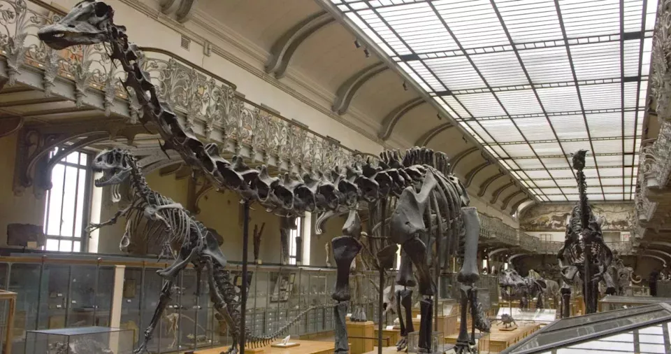 卢浮宫之后 巴黎博物馆6kg黄金也被偷 中国女被捕