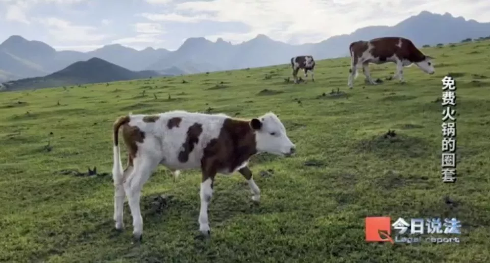 600多名老人被骗4200万!免费吃火锅为诱饵向老人行骗