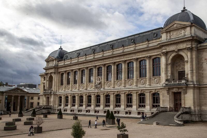 法国巴黎自然历史博物馆。（欧新社）