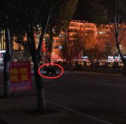 黑熊夜闯中国闹区 遭警连开10多枪击毙