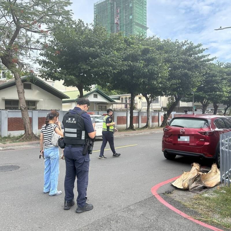 休旅车遭大王椰子击毁，警方获报前往处理。（民众提供）