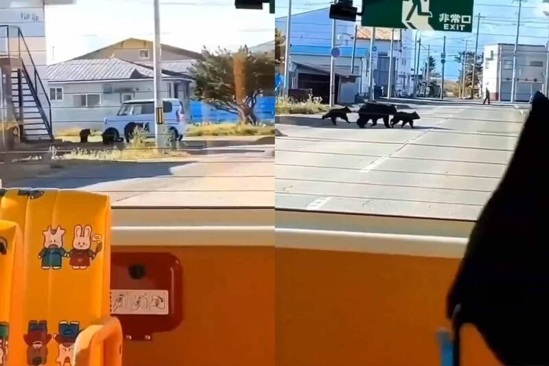 北海道浦河町荻伏町的一处住宅区，21日上午出没3头棕熊母子。（图撷取自@yanagi_1984 社群平台「X」，本报合成）