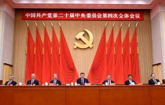 中共四中全会落幕 胡采苹分析:习对党政军控制是百分之一万