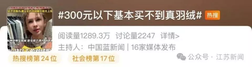 “300元以下基本买不到真羽绒服”，真的吗？