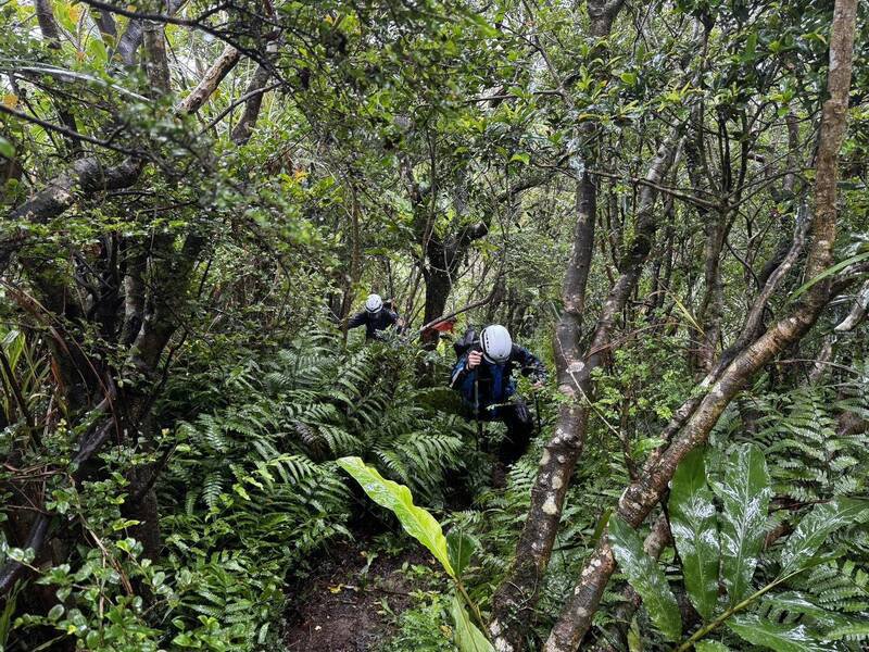山径林相复杂，加上山区大雨，增加搜救难度。（宜兰县消防局提供）