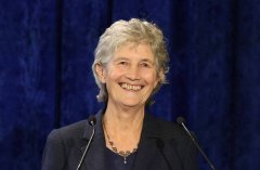 沉默抗议?爱尔兰左翼独立候选人胜选总统 13%选民投废票