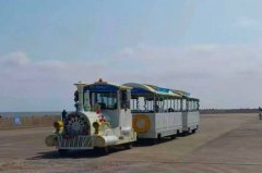 江苏观光车落水酿4死 中国网友震怒:过了1周才公布