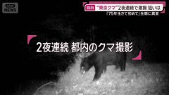 75年首见！ 东京都近郊民宅惊传「成年熊出没」