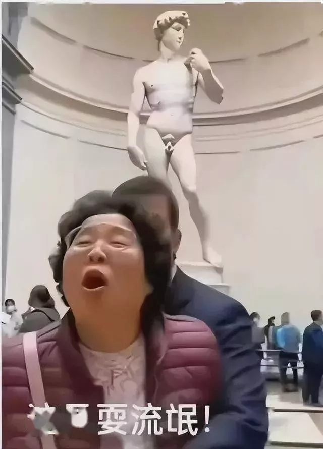 中国大妈佛罗伦萨怒斥大卫雕像:这是耍流氓!