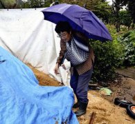 遇到熊如何自保? 日83岁妇人只受轻伤分享经验谈