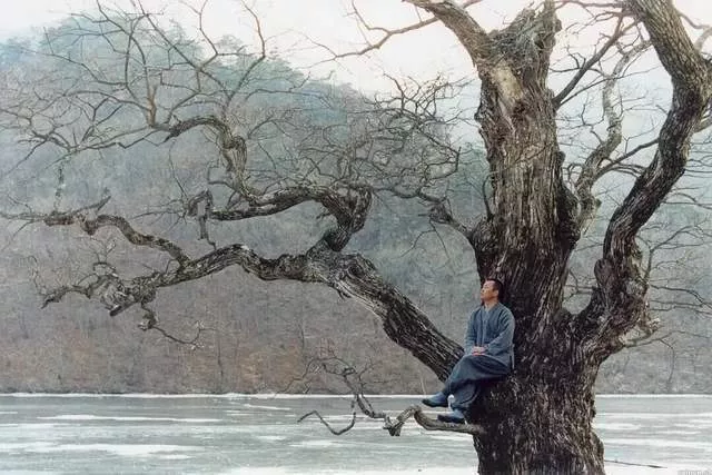 “出家一年后，我重新回到广州出租屋创业”