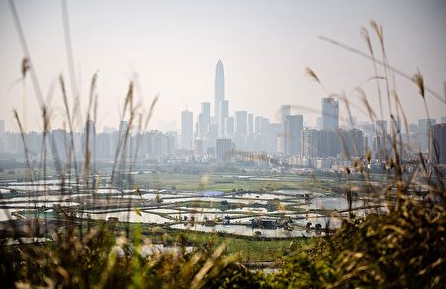 前所未有危机  上海甲级写字楼也崩了