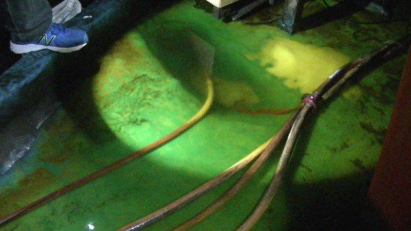 警方找到电镀工厂用塑胶水管，偷偷把废水排入水沟。（记者张瑞桢翻摄）