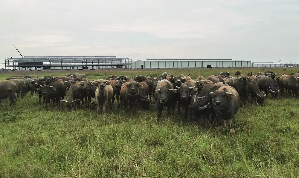 越南最小省，正成为“下一个东莞”？