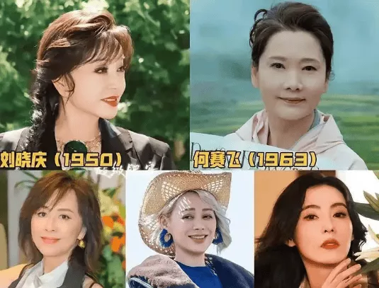 何赛飞录节目把嘉宾得罪完,她是情商低还是真性情?