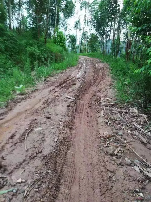 四川一村民众筹30万元欲硬化3公里长通村路,10年未动工