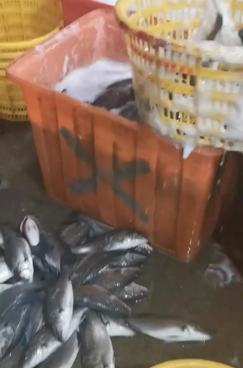 水产市场“麻醉鱼”调查:有商家称麻药有味会换水再卖