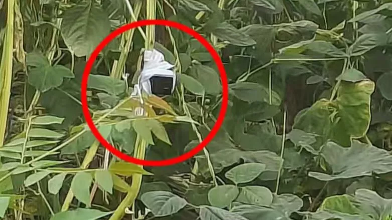 上海荒地现摄像头和12万现金?数小时蹲守后,可疑男子出现