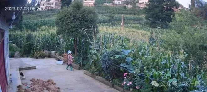 又一个恶魔！霸榜热搜