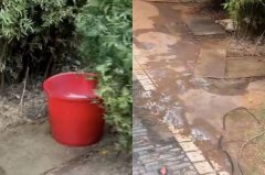 臭气熏天！中国一公园离公厕不到百米 竟摆水桶供民众露天大小便