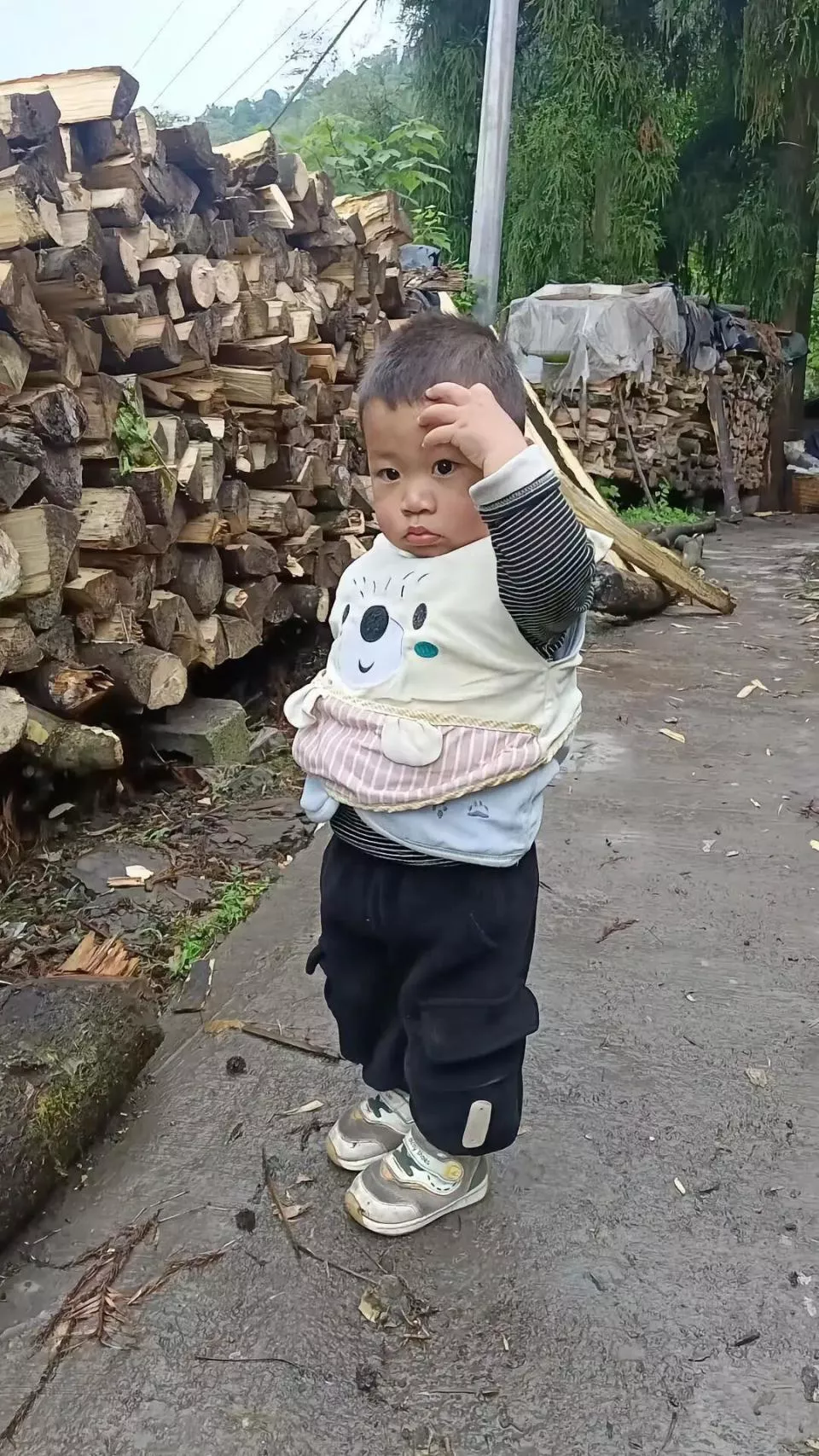 2岁男童失踪近两月,母亲:悬赏10万真实有效