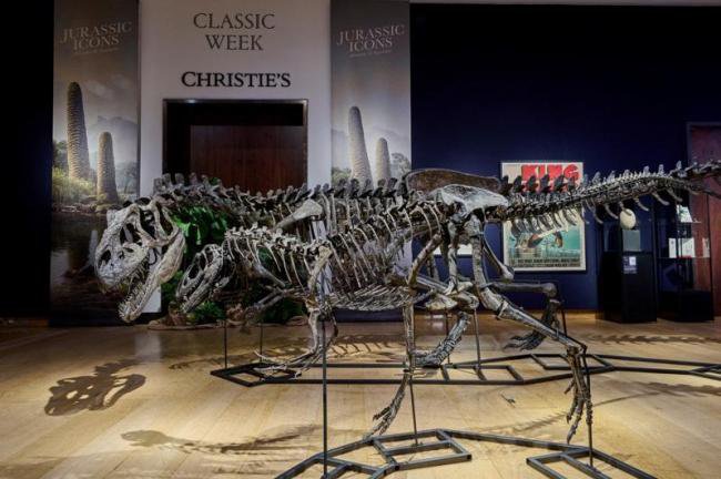 中国大佬竟持有侏罗纪恐龙化石?逃亡英国被查抄 中国大佬竟持有侏罗纪恐龙化石?逃亡英国被查抄