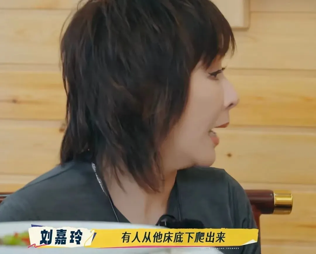 刘嘉玲曝：刘德华住酒店，16岁粉丝躲床底一天
