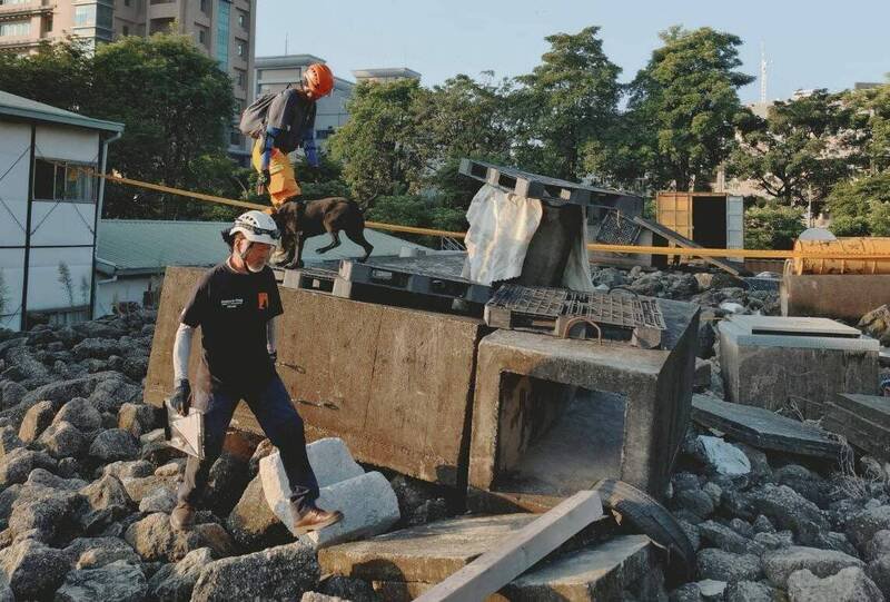 基隆市消防局两只搜救犬目前已获得国际A级认证。（记者吴升儒翻摄）
