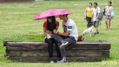 今年5月以来狂飙高温  541人热伤害就诊