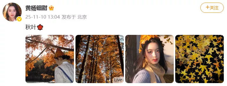 耳环风波后，旋涡中心的黄杨钿甜首发文