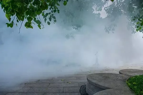 灭蚊36天,一个基层工作者和她消失的周末