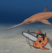 智利出土新化石「波奇塔锯鲨」 考古团队：名字致敬《链锯人》