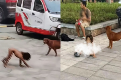 四川「野人裸童」趴地进食震惊社会 父亲吐真相喊冤:都是误会