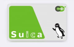 陪伴旅客25年! 日本西瓜卡「吉祥物企鹅」宣布2026年底毕业
