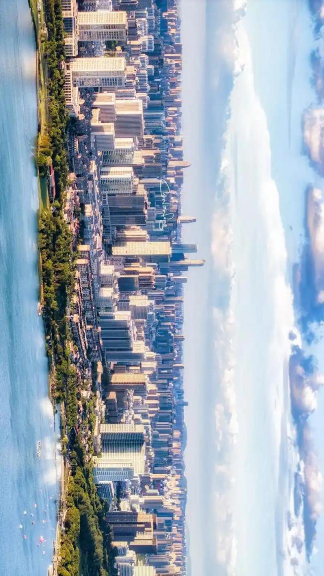 中国顶尖教授，涌向一个“非主流”城市