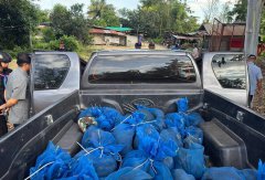 2嫌走私泰国落网 81只猕猴幸运获救