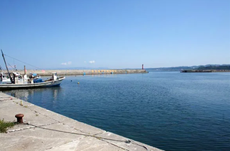 日本青森县野边地町陆奥湾海域有熊只在海里游泳。图为野边地町渔协办公室旁海域。（图撷自青森县渔协官网）