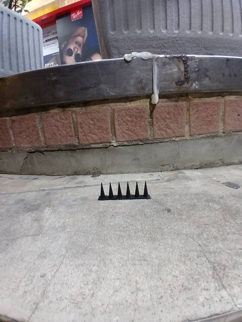 防鸽用尖刺板为塑胶制，但还是有一定杀伤力。（记者徐圣伦翻摄）