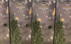 英国特易购将耶诞树改名「常青树」 网友怒:愚蠢的觉醒行为