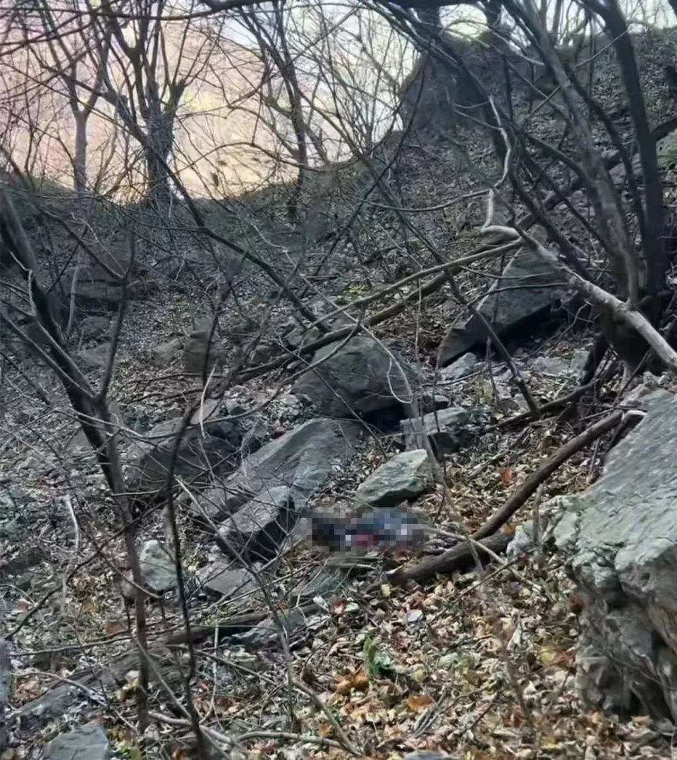 男子在河南南太行失联43天，有人发现疑似遗体及物品